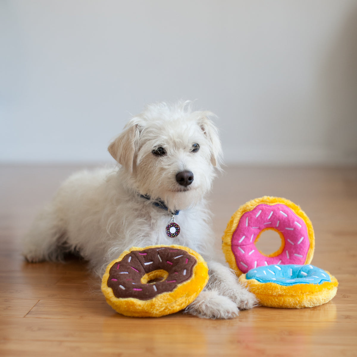ZippyPaws Mini Donutz Blueberry
