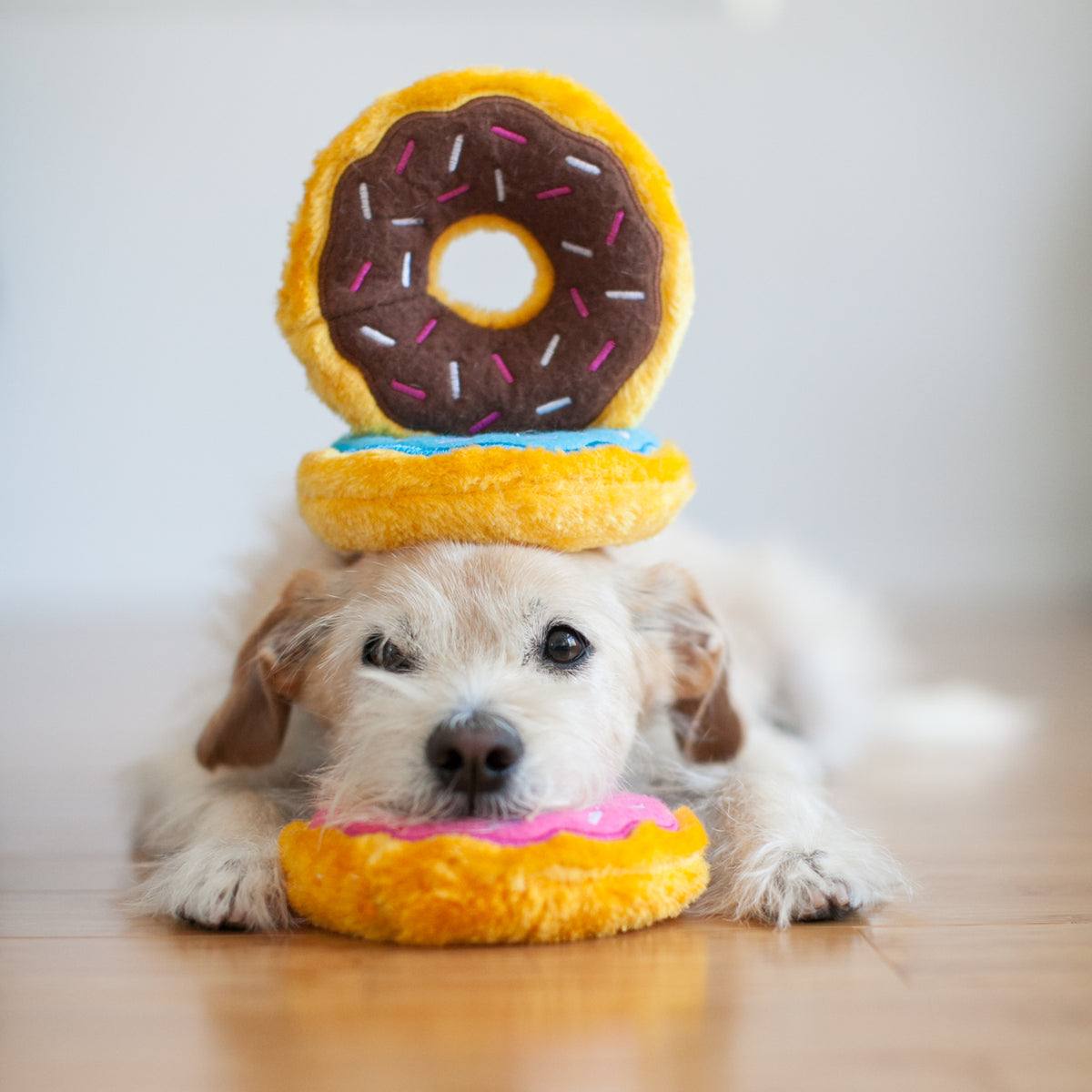 ZippyPaws Mini Donutz Blueberry