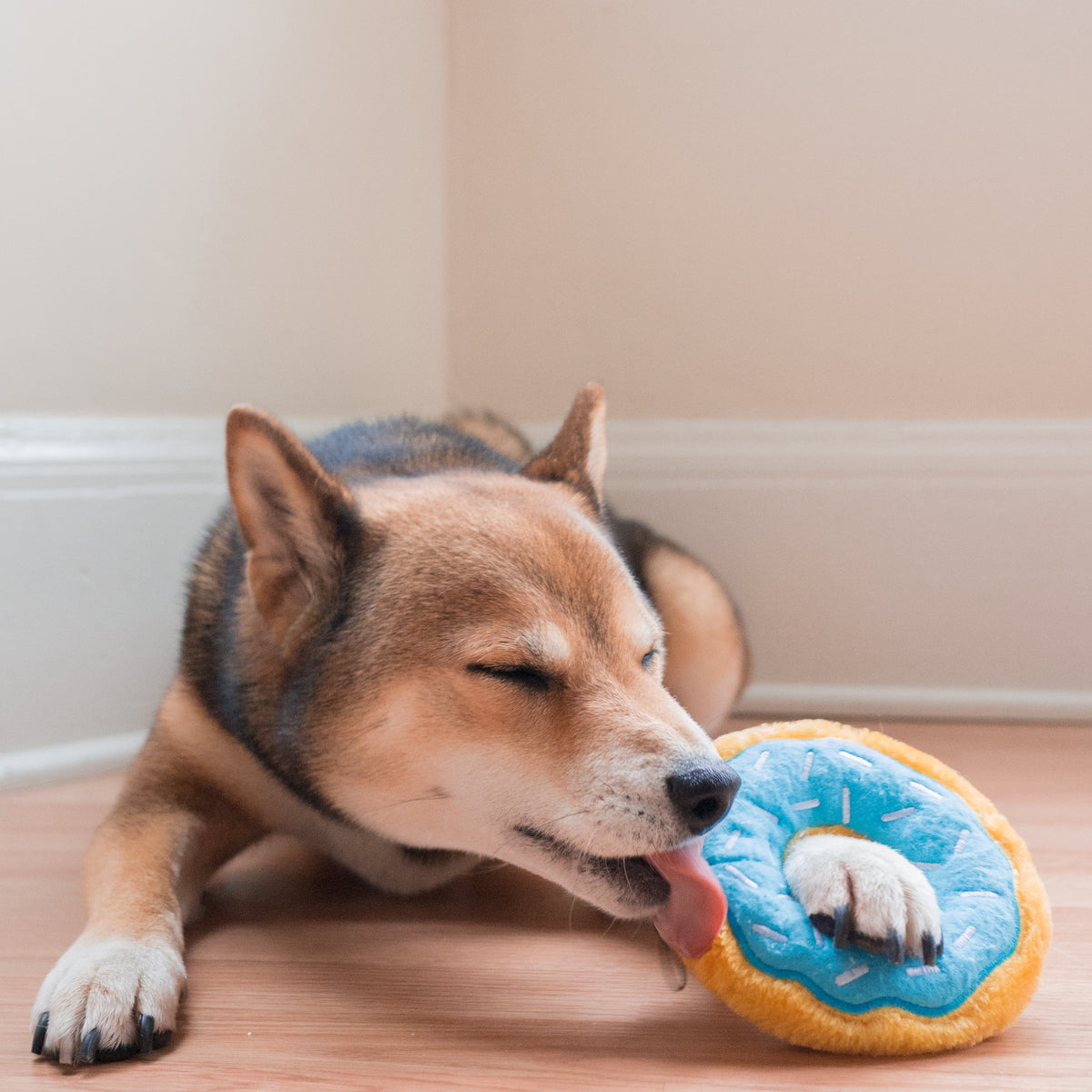 ZippyPaws Mini Donutz Blueberry