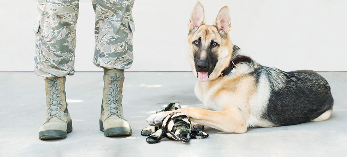 ZippyPaws Z-Stitch Grunterz Camron the Camo Gator