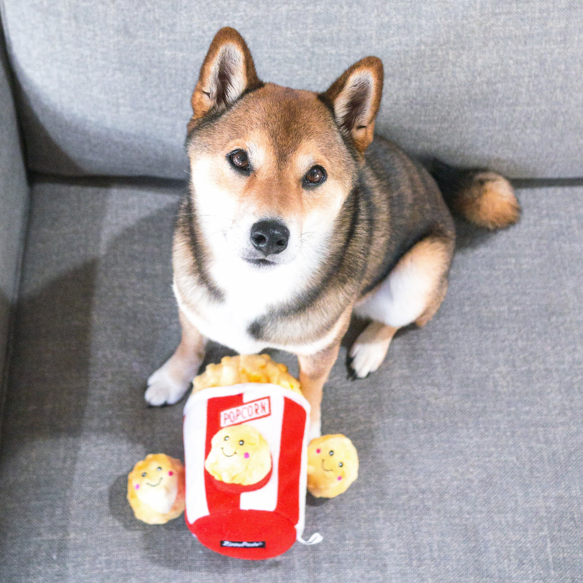 ZippyPaws Burrow Popcorn Bucket