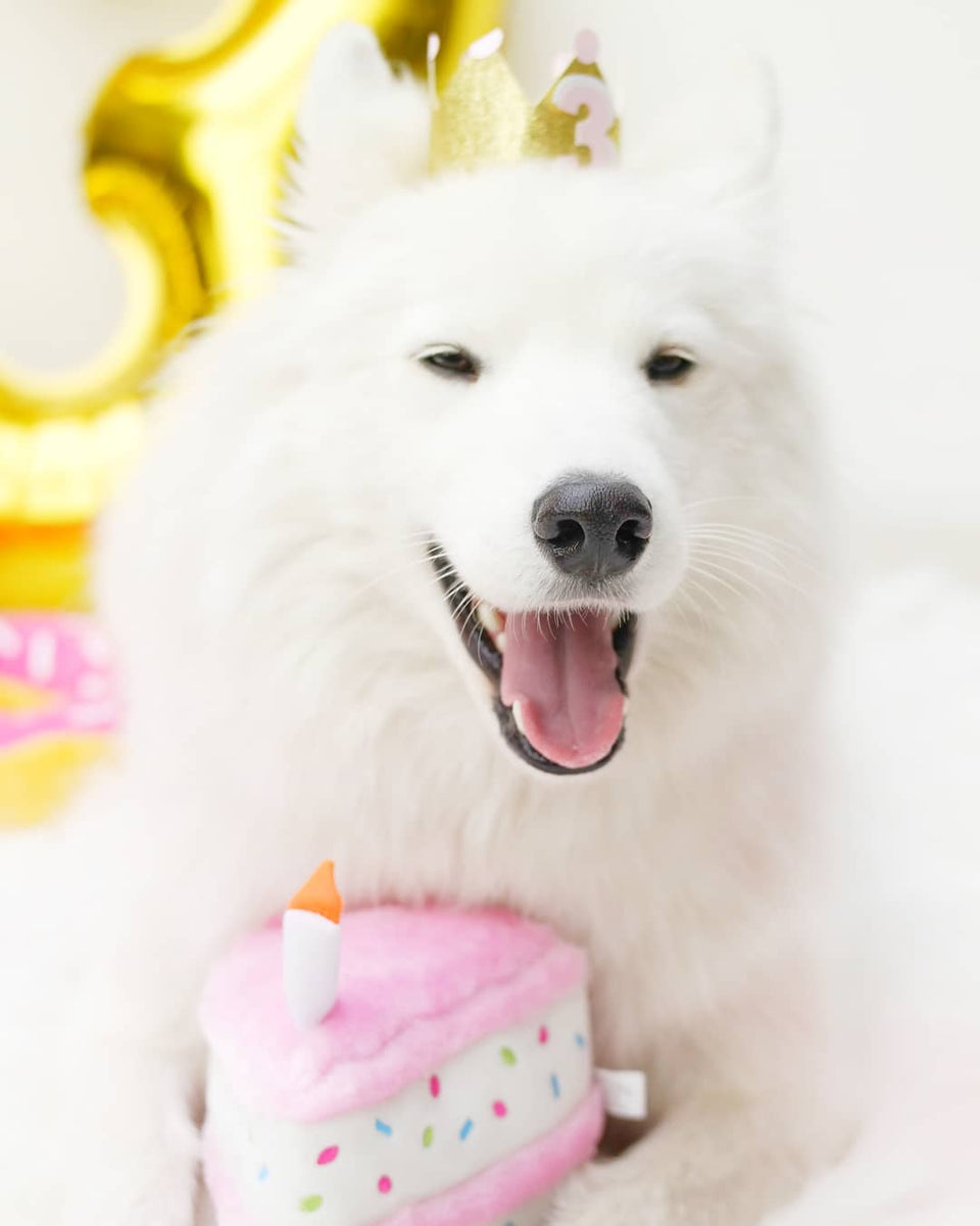 ZippyPaws Birthday Cake Pink