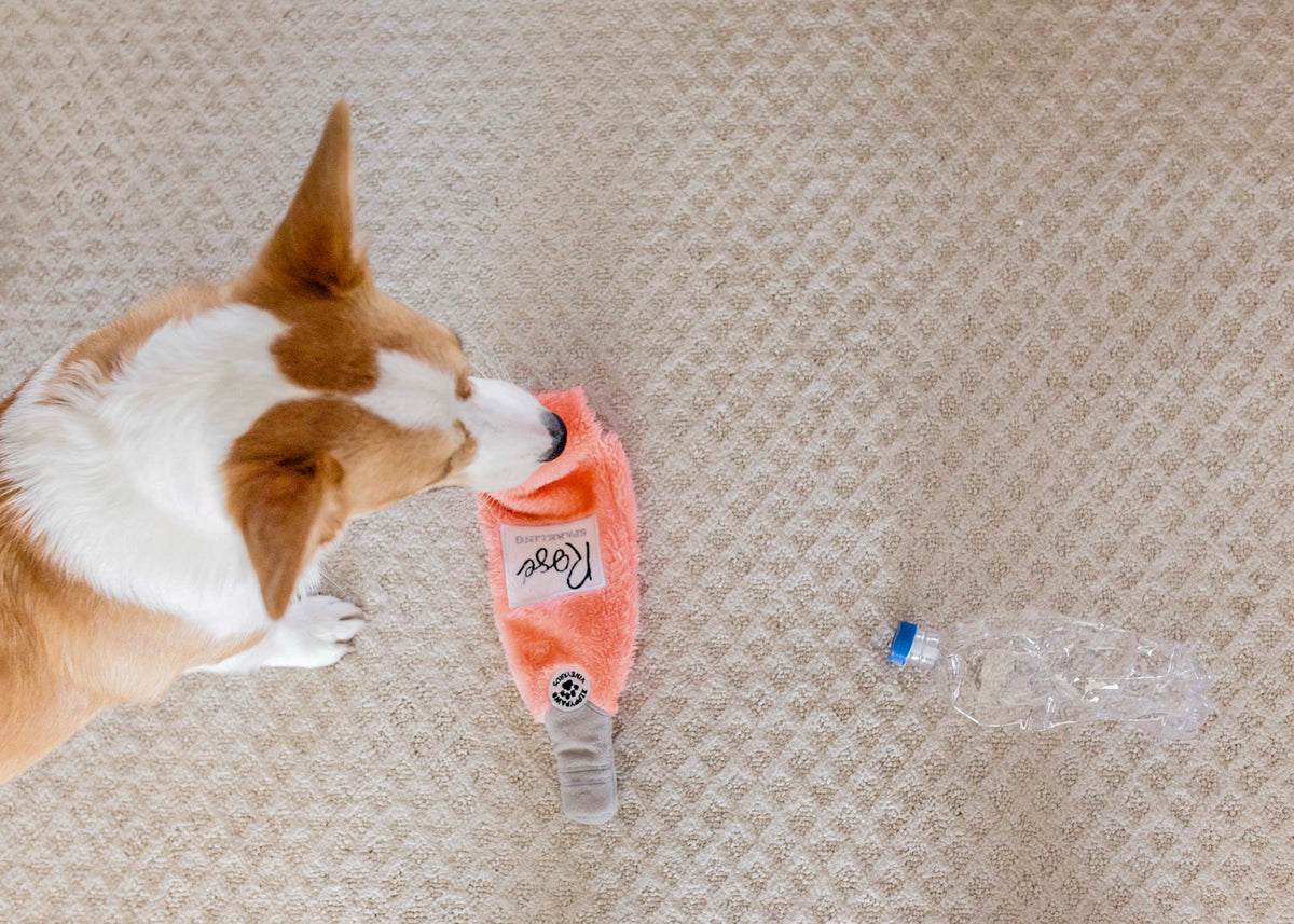 ZippyPaws Happy Hour Crusherz Rosé