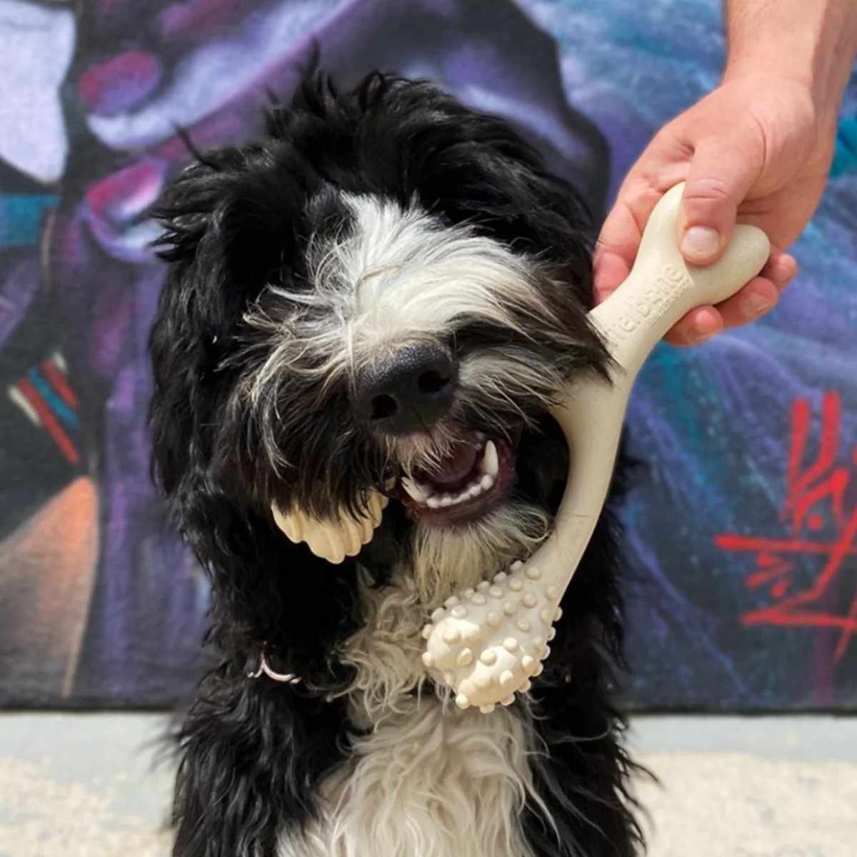 Pet Palette Distribution Partners with BetterBone to Offer Healthier Chewing Alternatives for Dogs