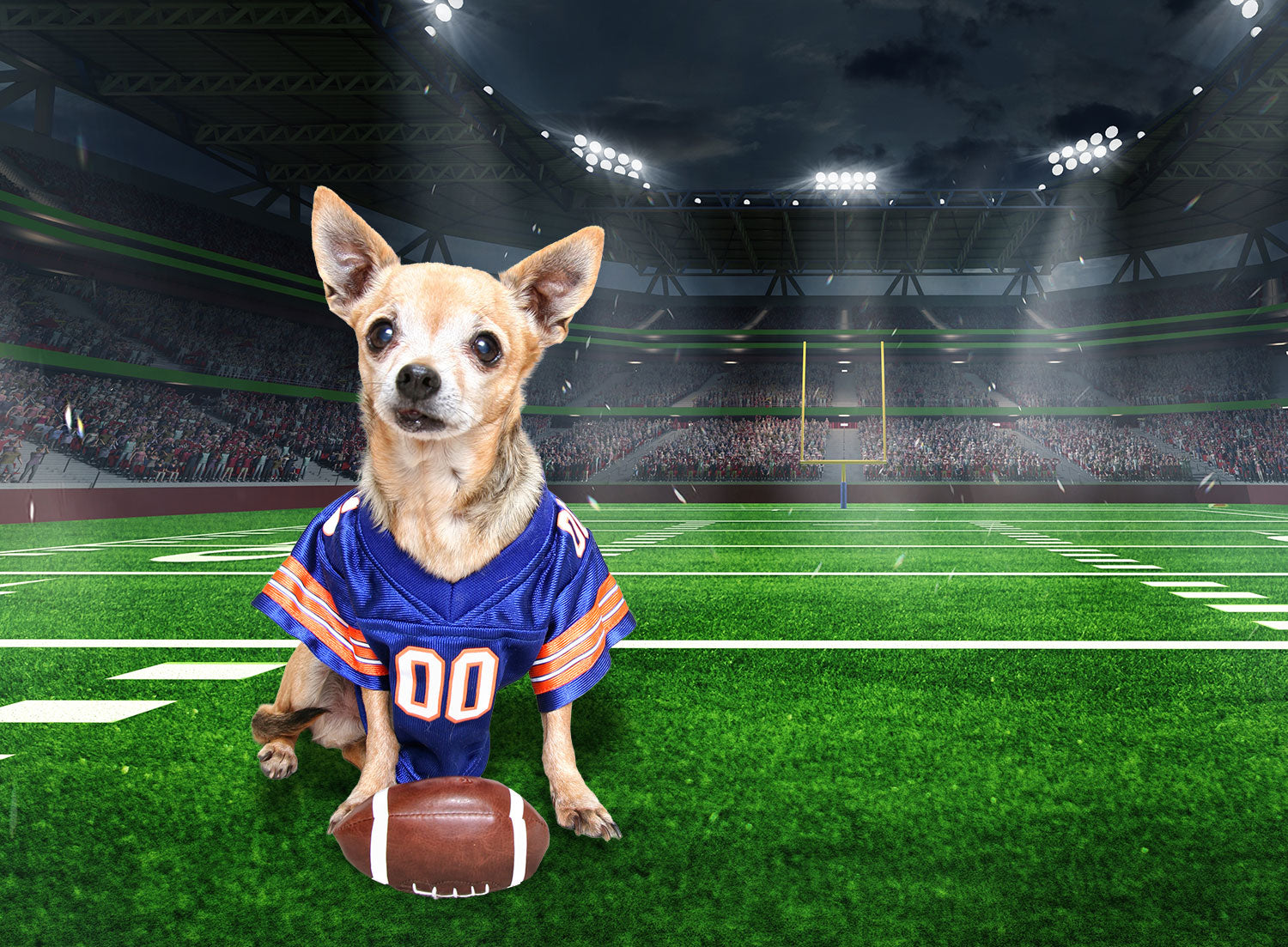 🏈 Tailgate Party Collection: Fall Football Toys & Treats for Dogs and Cats