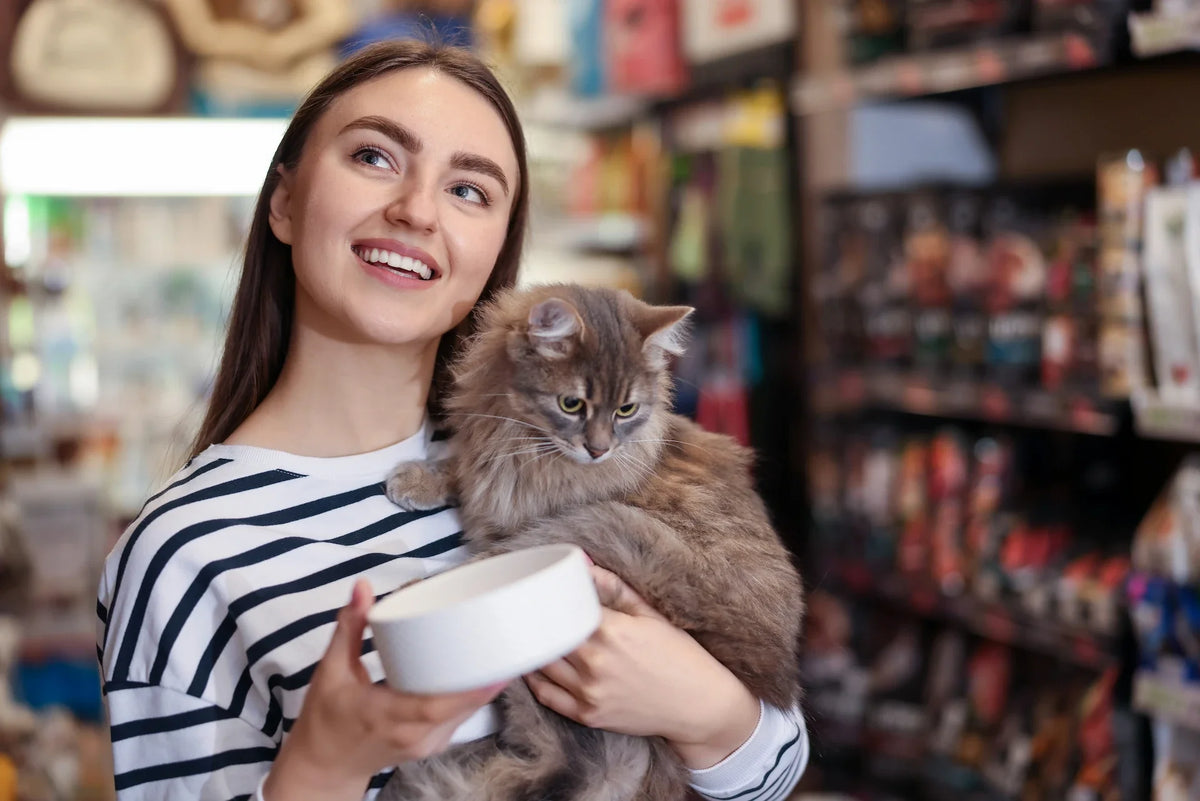 Wholesale Cat Products Your Customers Actually Want