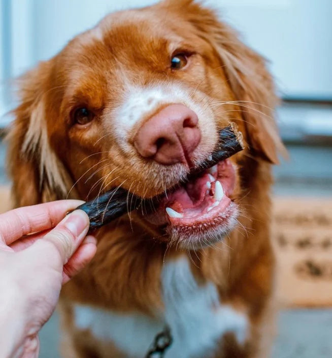 All Dog Natural Chews