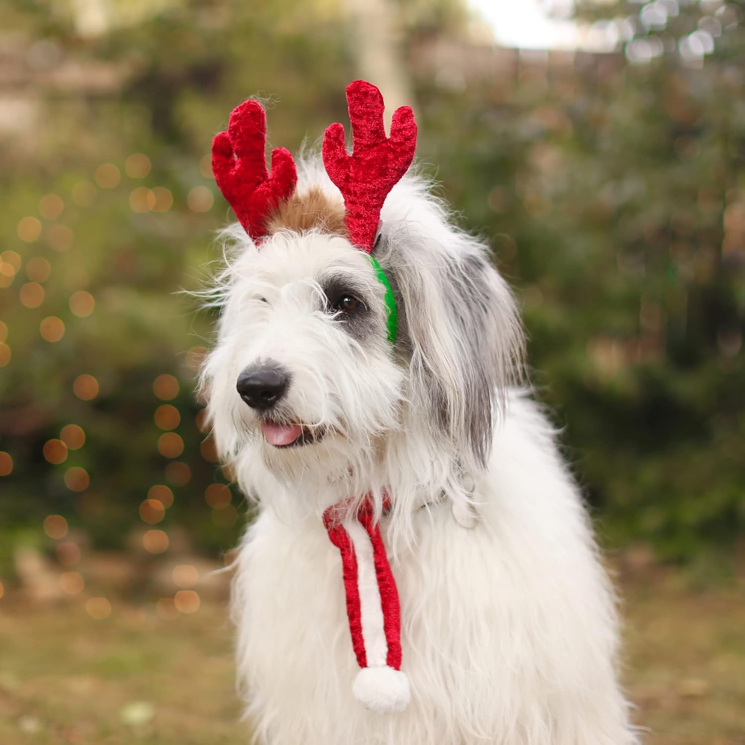 ZippyPaws Antlers Small