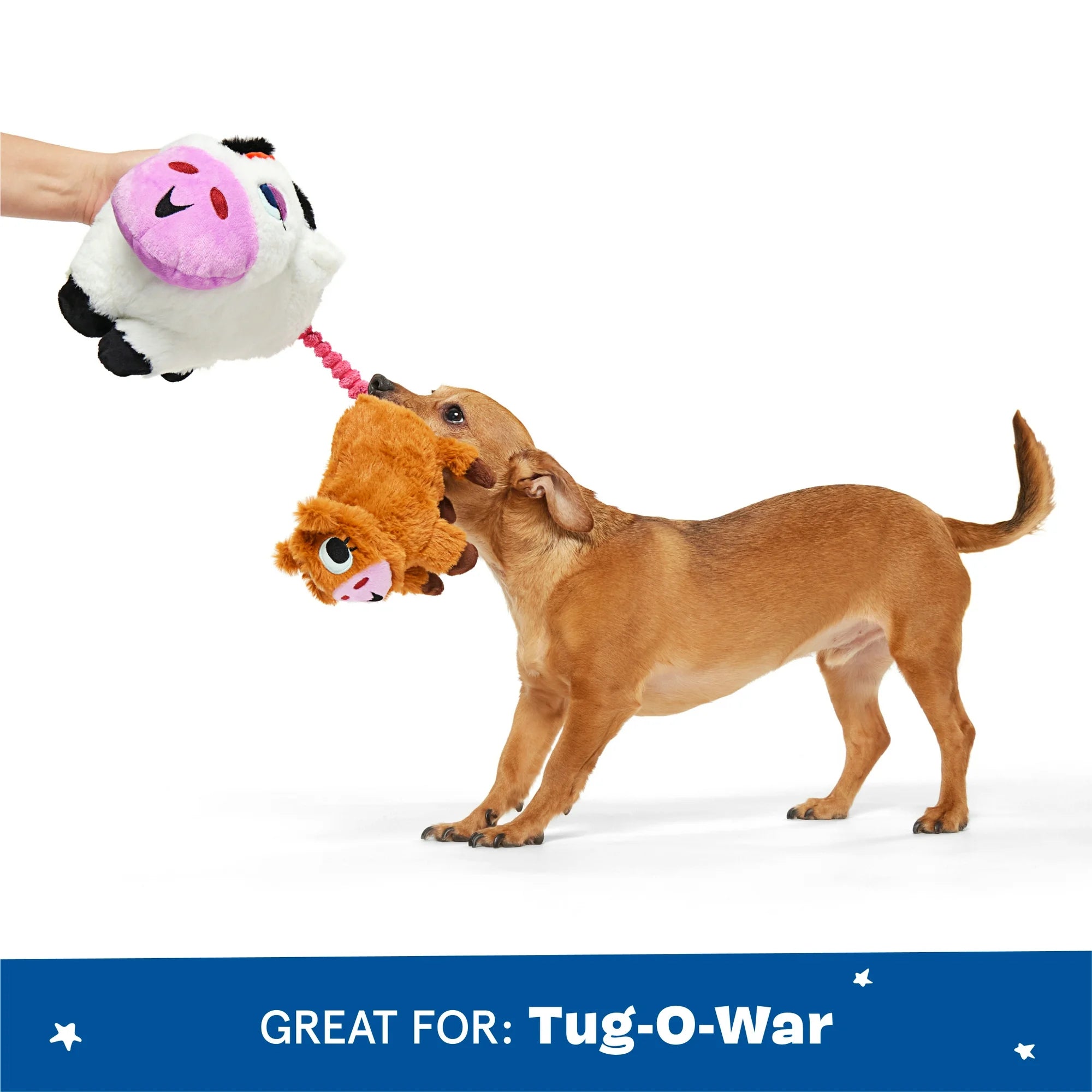 BARK Bertha the Cow Dog Plush Toy