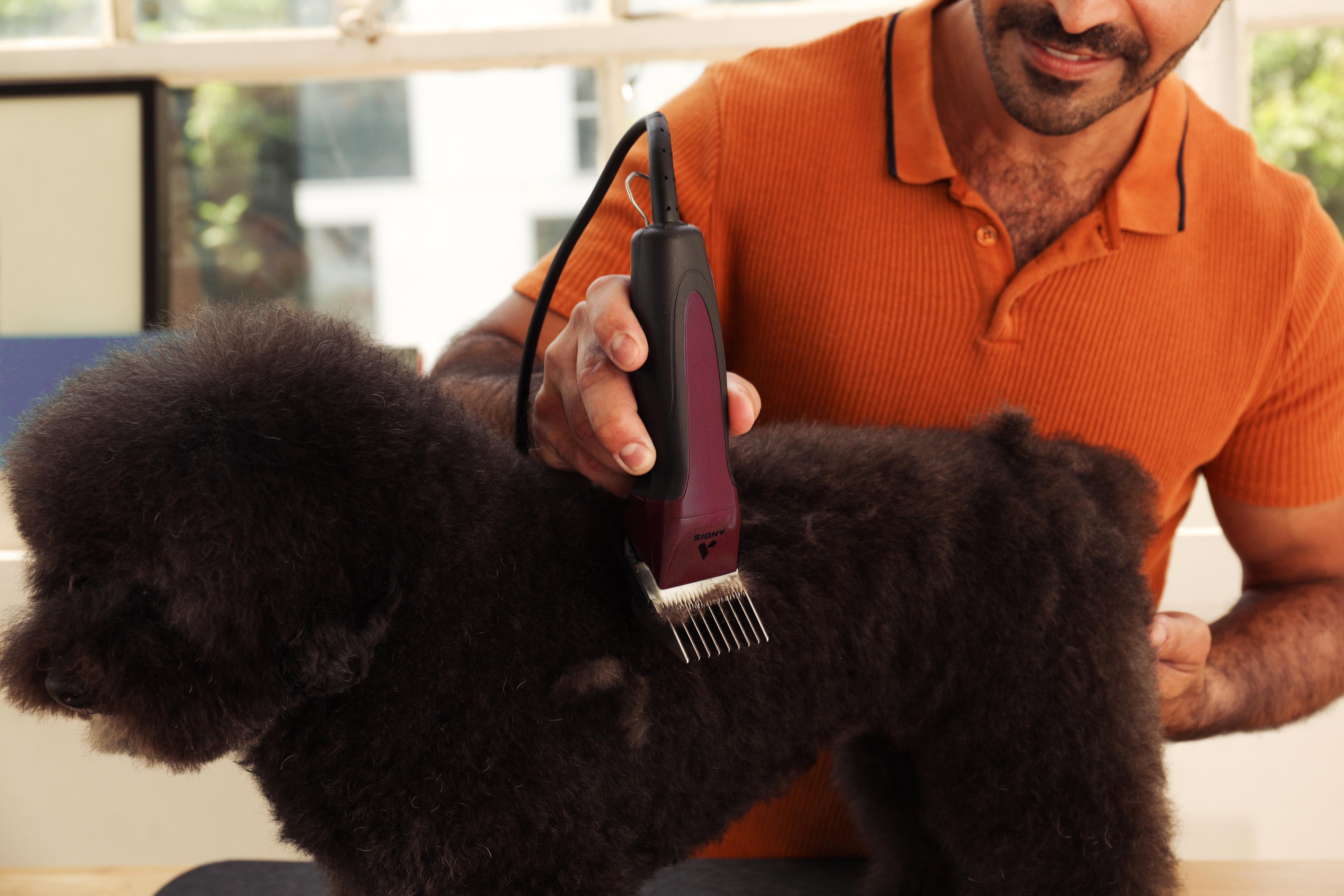 Andis Excel 5-Speed+ Detachable Blade - Burgundy