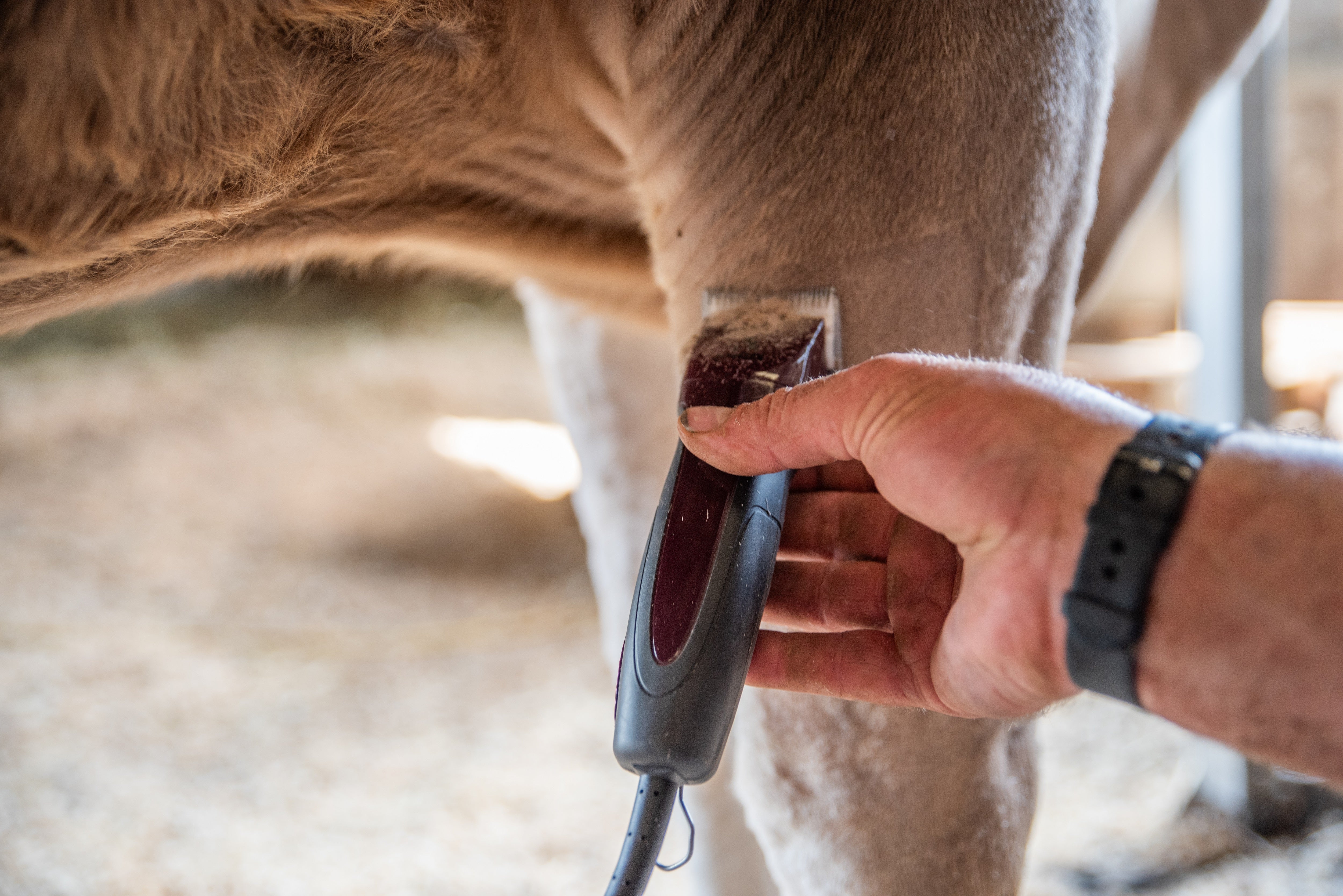 Andis Excel 5-Speed+ Detachable Blade - Burgundy