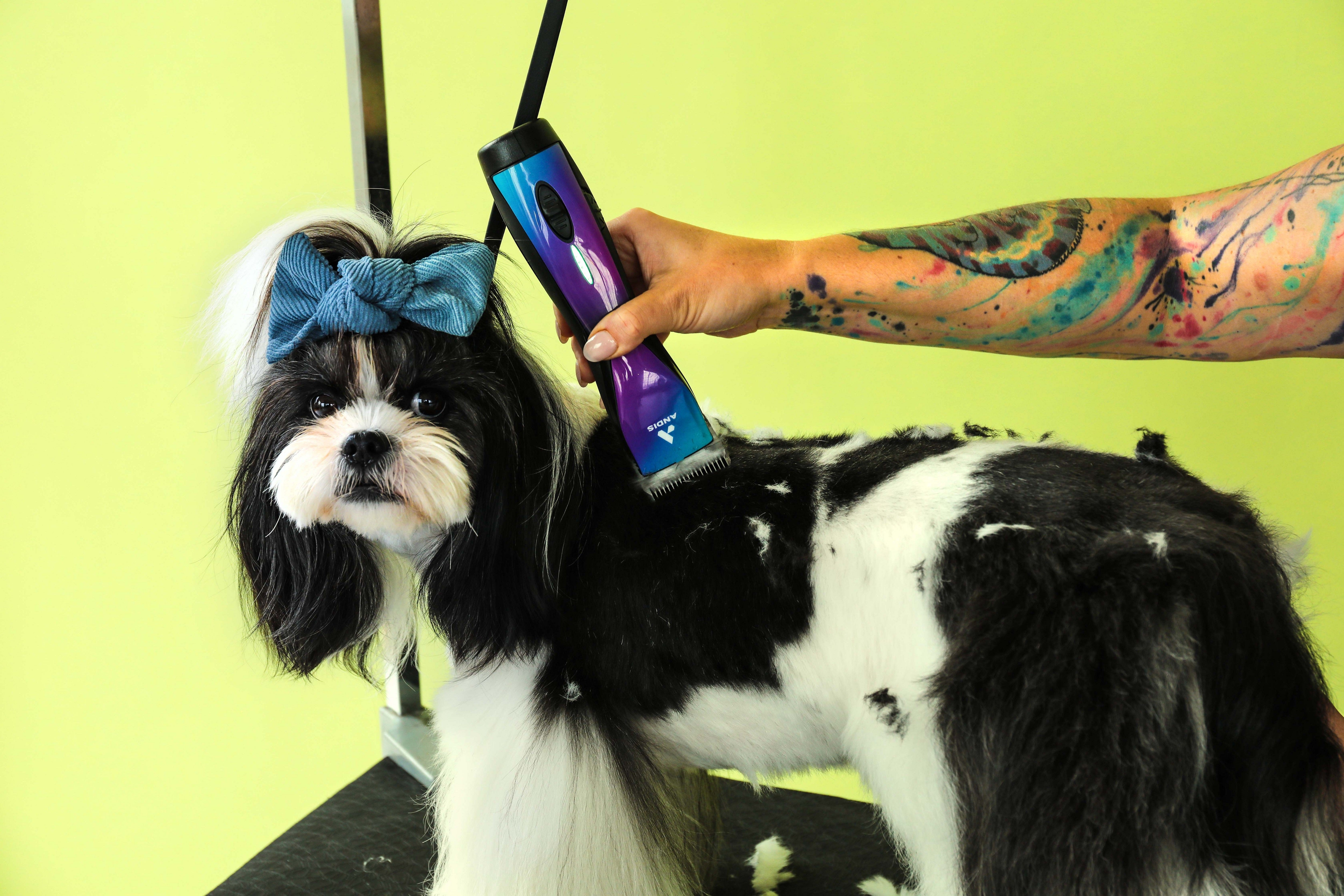 Andis Pulse ZR® II 5-Speed Cordless Detachable Blade w/CE 10 Blade - Purple Galaxy