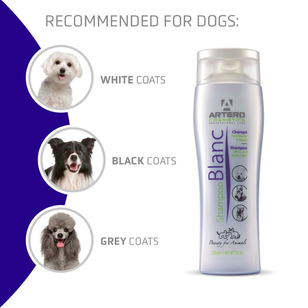 Artero Blanc Shampoo 9 oz