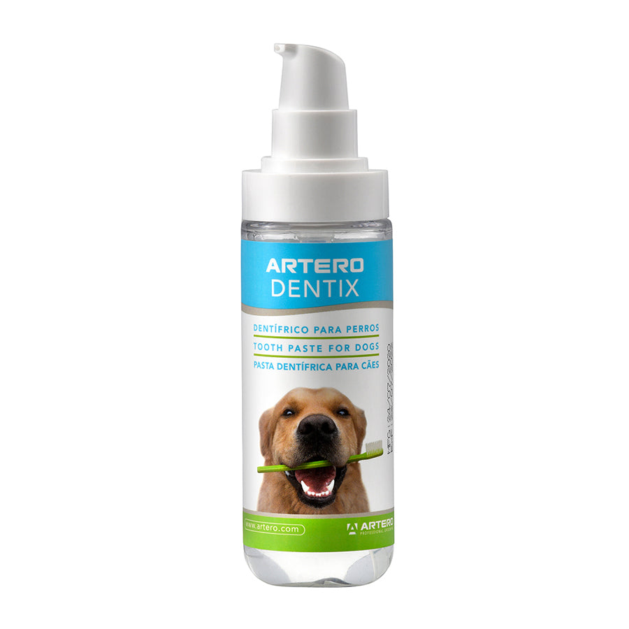 Artero Dentix Tooth Paste