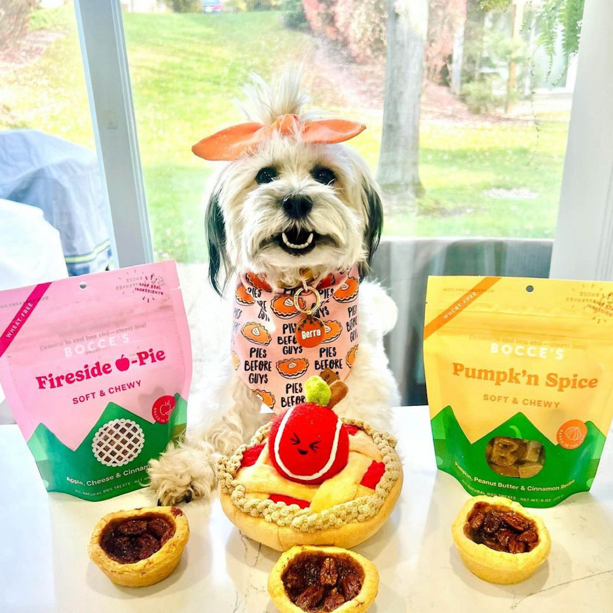 Bocce's Bakery Fireside Apple Pie Soft & Chewy Dog Treats 6oz