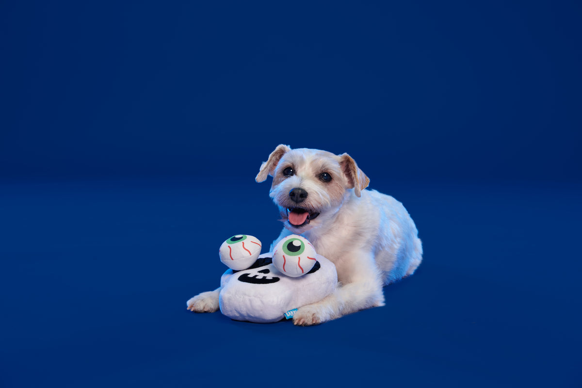 BARK Bugeye Man Plush Dog Toy XS/Small