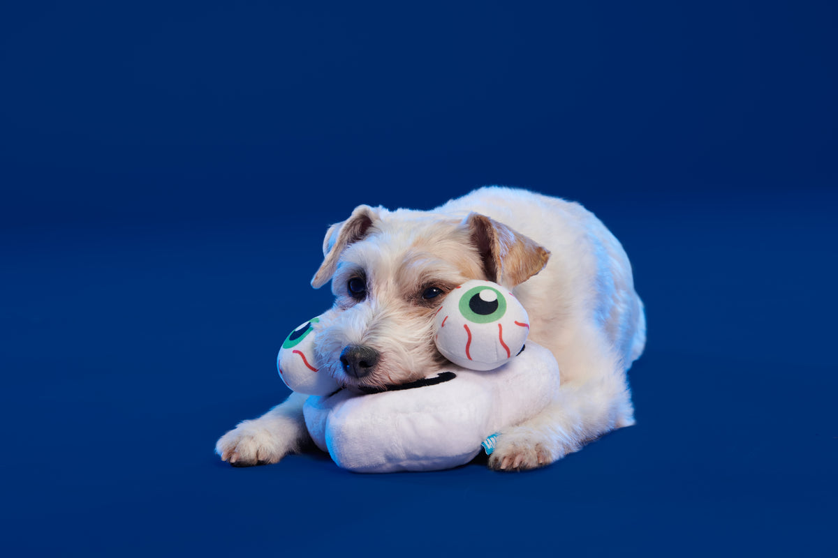 BARK Bugeye Man Plush Dog Toy XS/Small