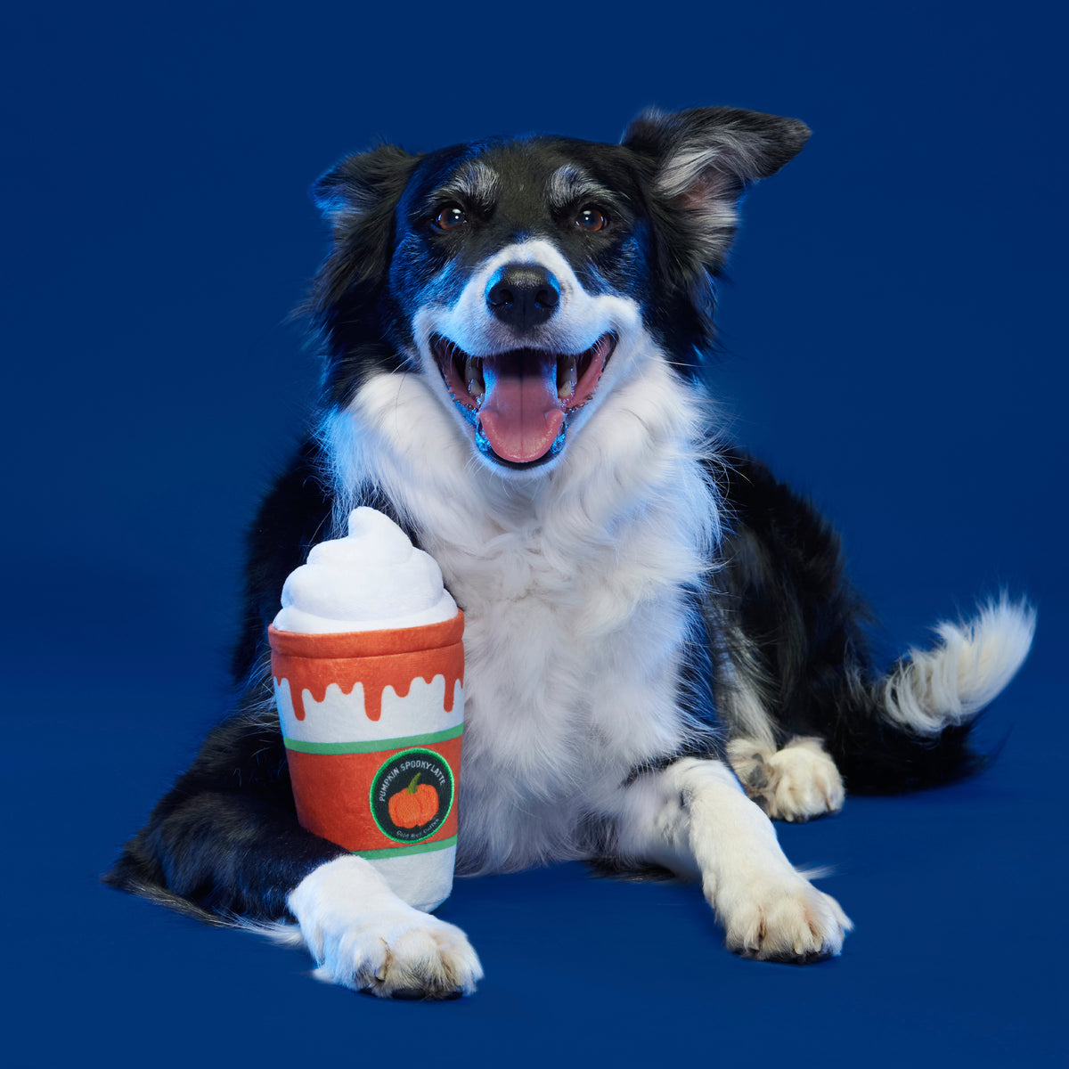 BARK Whipped Pupkin Latte Plush Dog Toy