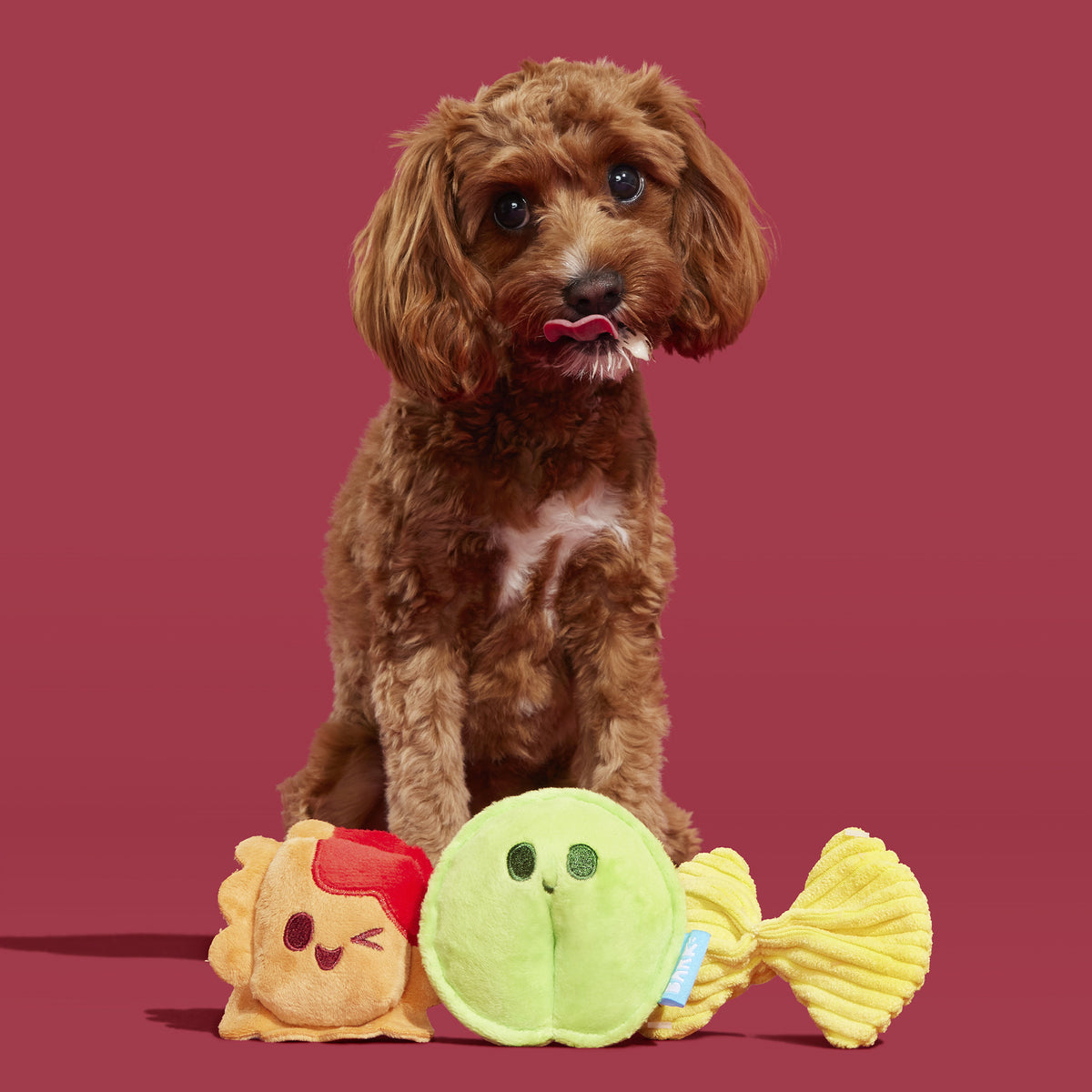BARK Ravioli Homies Plush Dog Toy