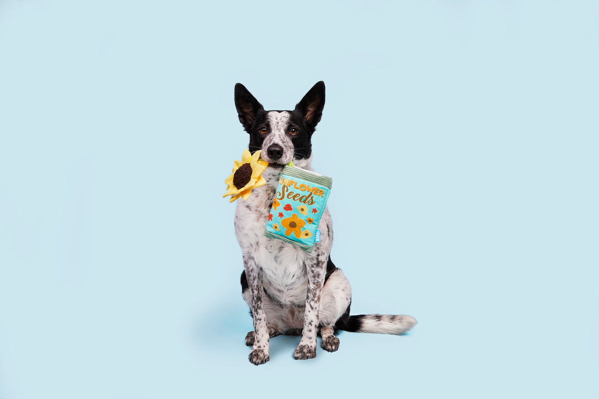 BARK Funflower Seeds Rope Dog Toy