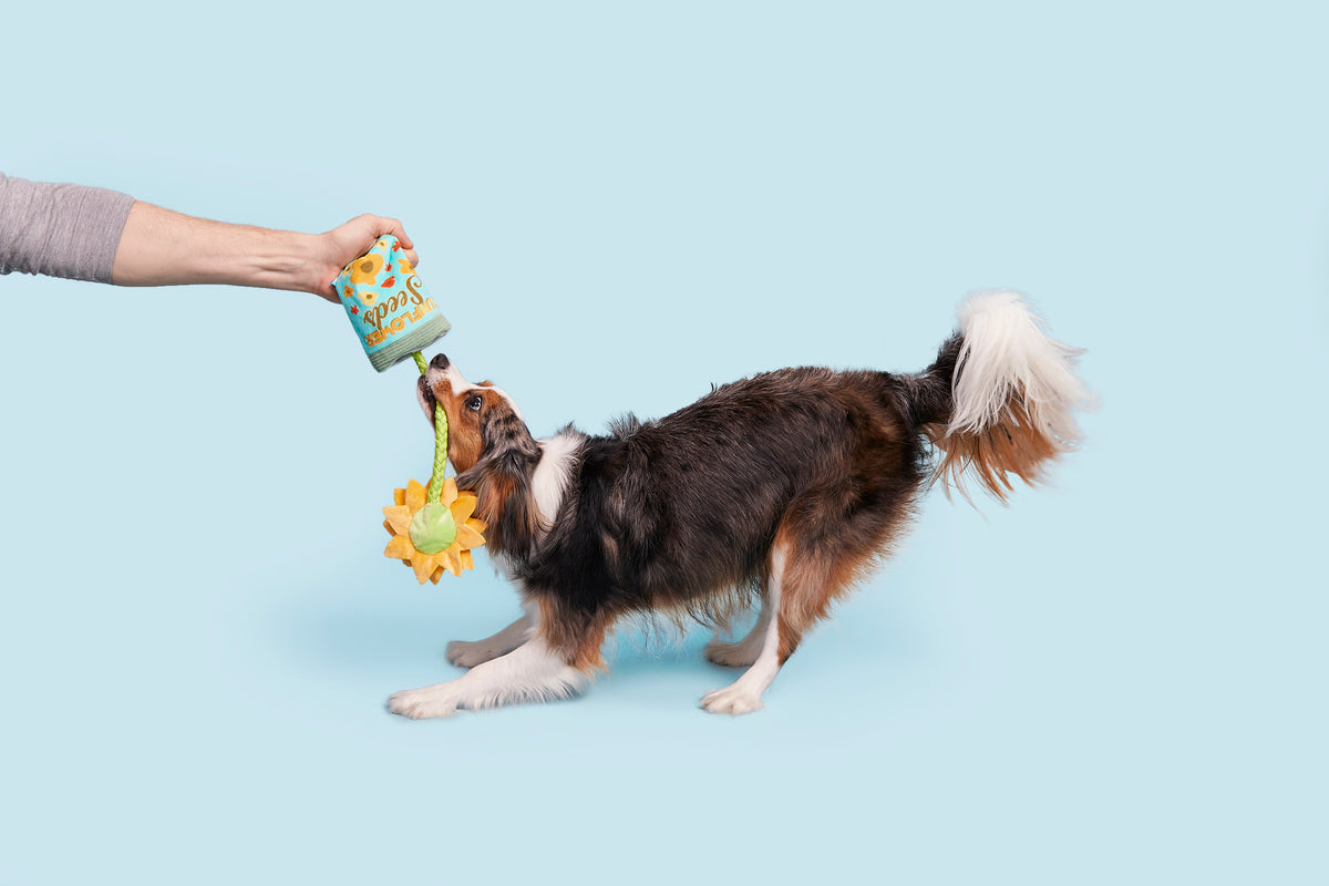 BARK Funflower Seeds Rope Dog Toy