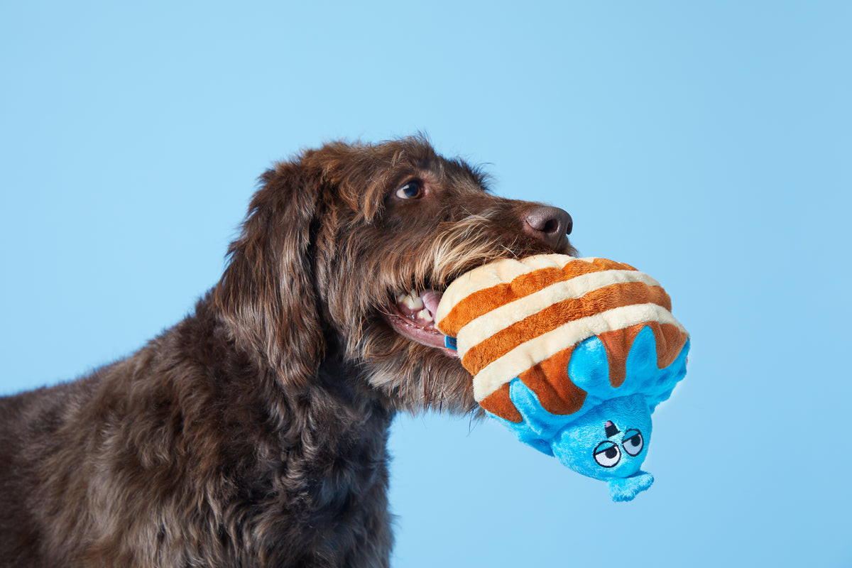 BARK Chewberry Pancakes Plush Dog Toy