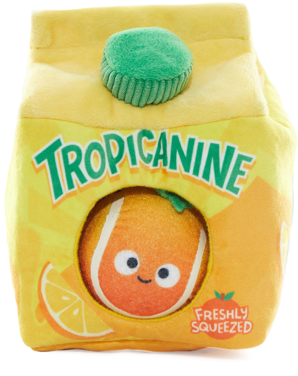 BARK Fresh Squeaked OJ Plush Dog Toy M