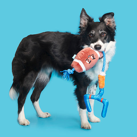 BARK The Whole Canine Yards Plush Dog Toy