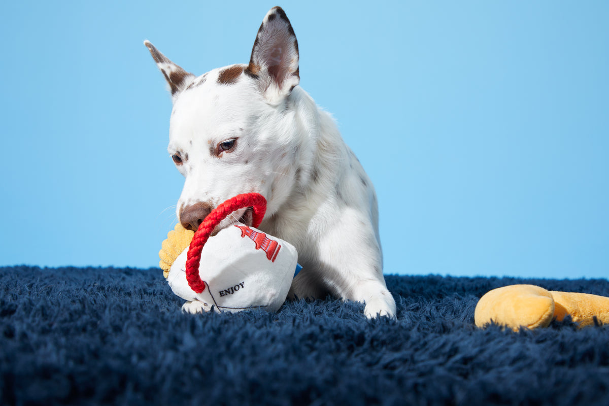 BARK Chew Mein & Furtune Cookie