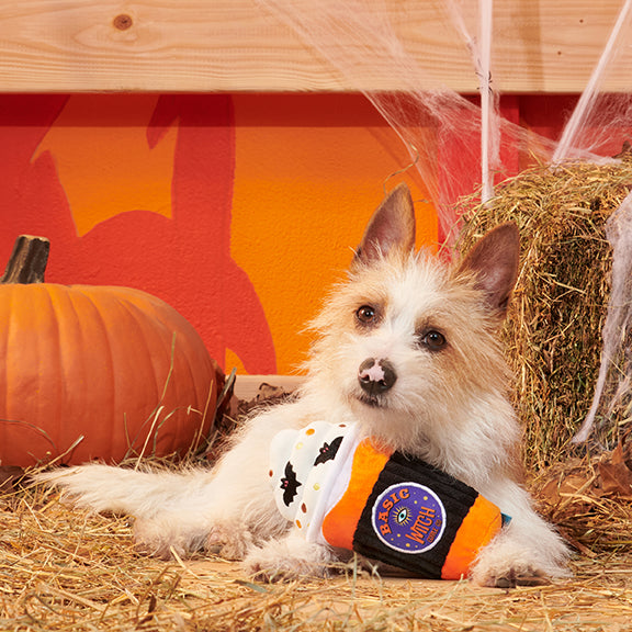 BARK Spooky Boo Brew Plush Dog Toy
