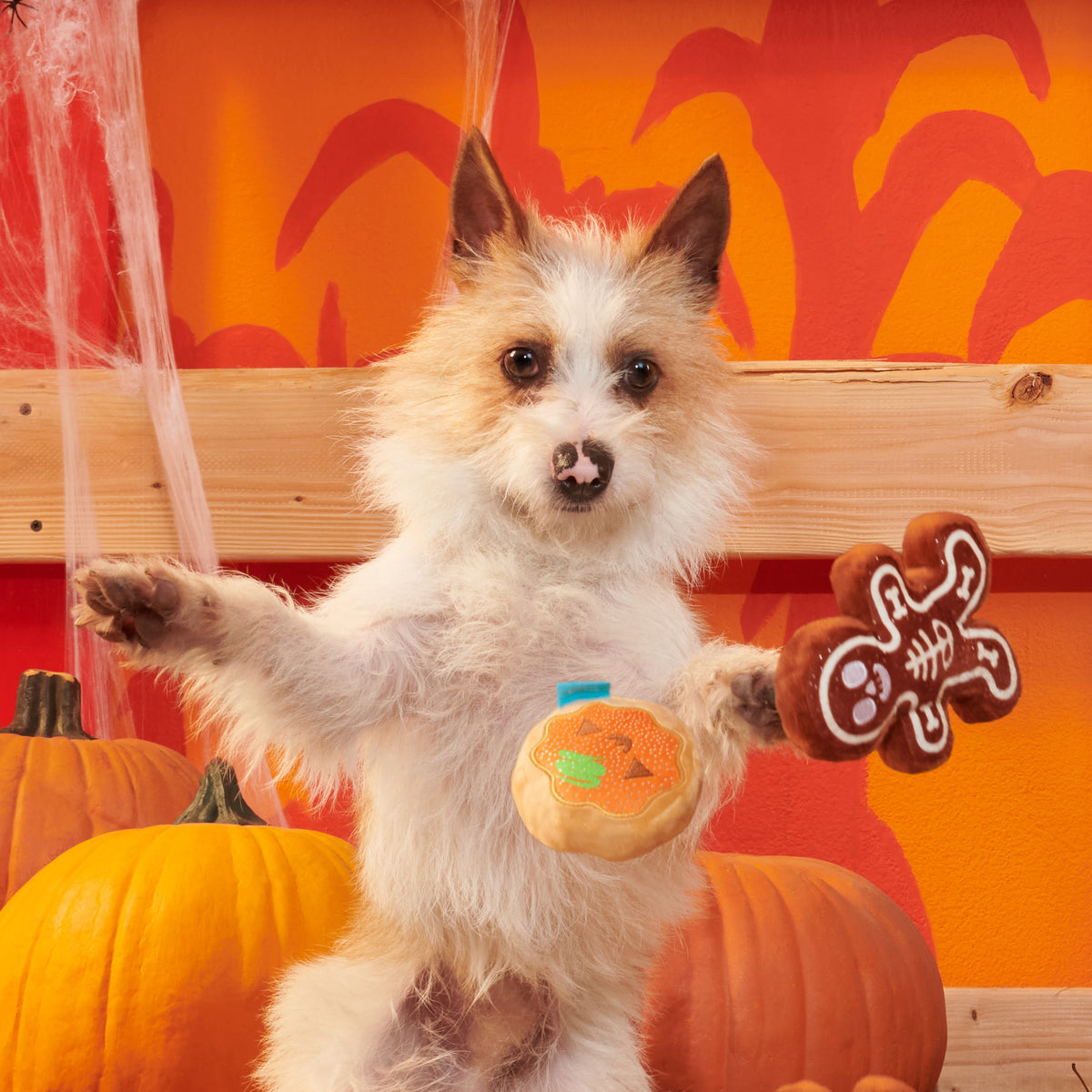 BARK Spookie Cookies Plush Dog Toy
