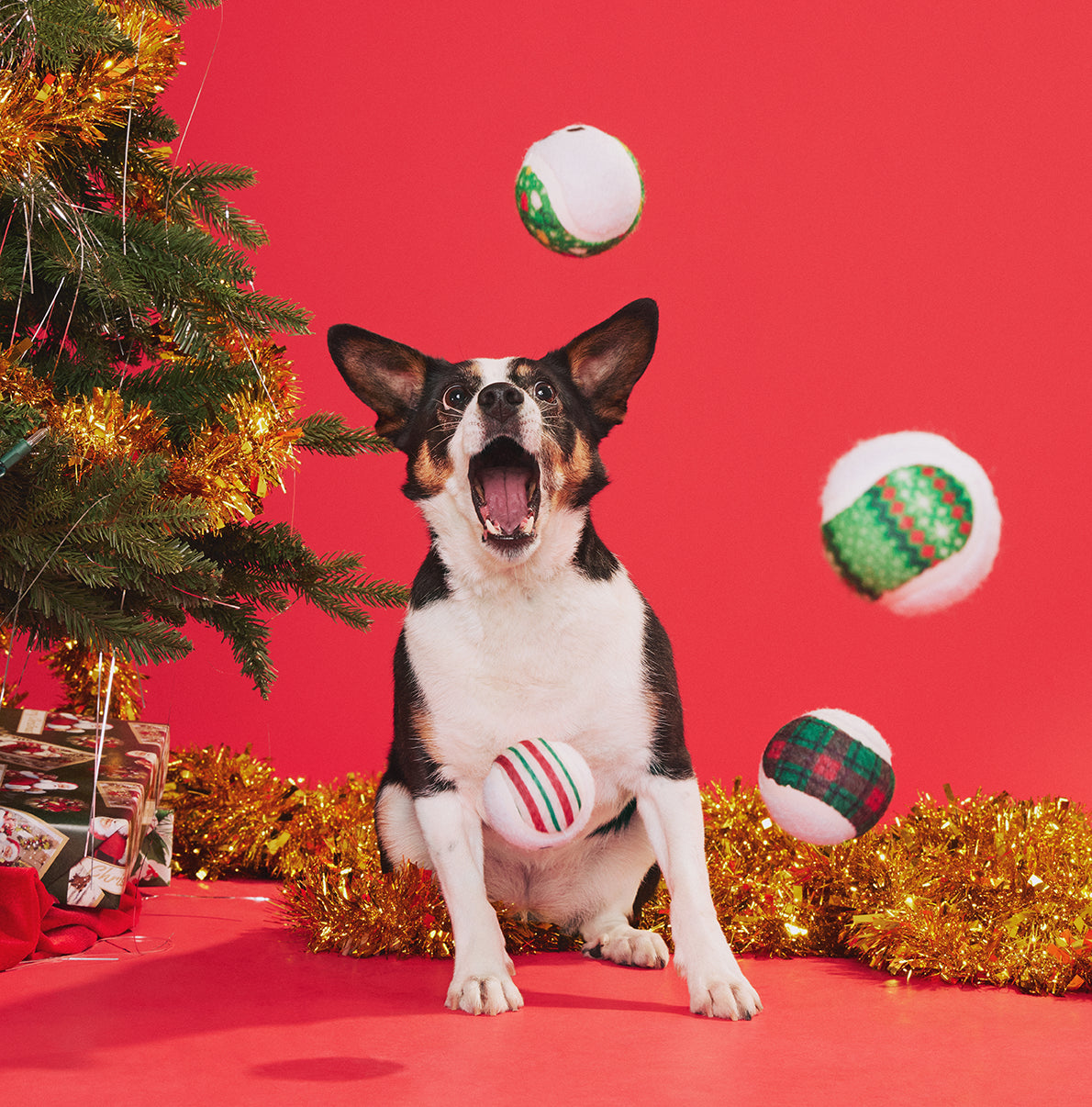 BARK Snowballers Dog Toy
