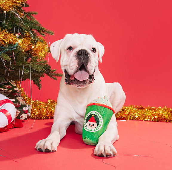 BARK Up All Night Latte Dog Toy