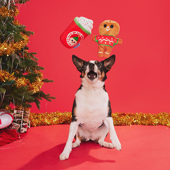 BARK Ginger Brew Crew Dog Toy