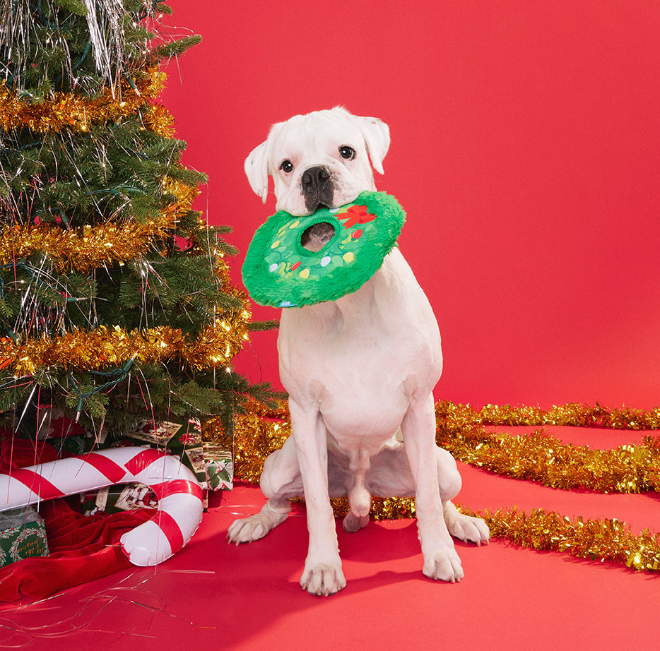 BARK Get Lit Wreath Dog Toy