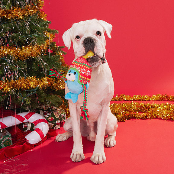 BARK Walter the Winter Walrus Dog Toy