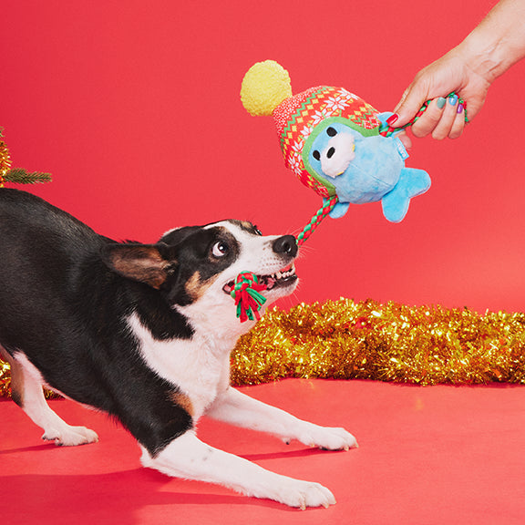 BARK Walter the Winter Walrus Dog Toy