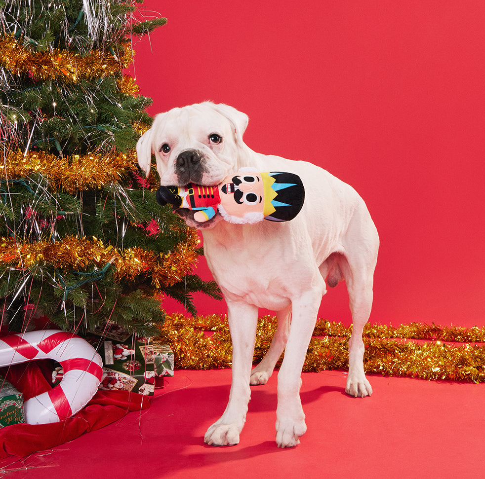 BARK Buddy The Buttcracker