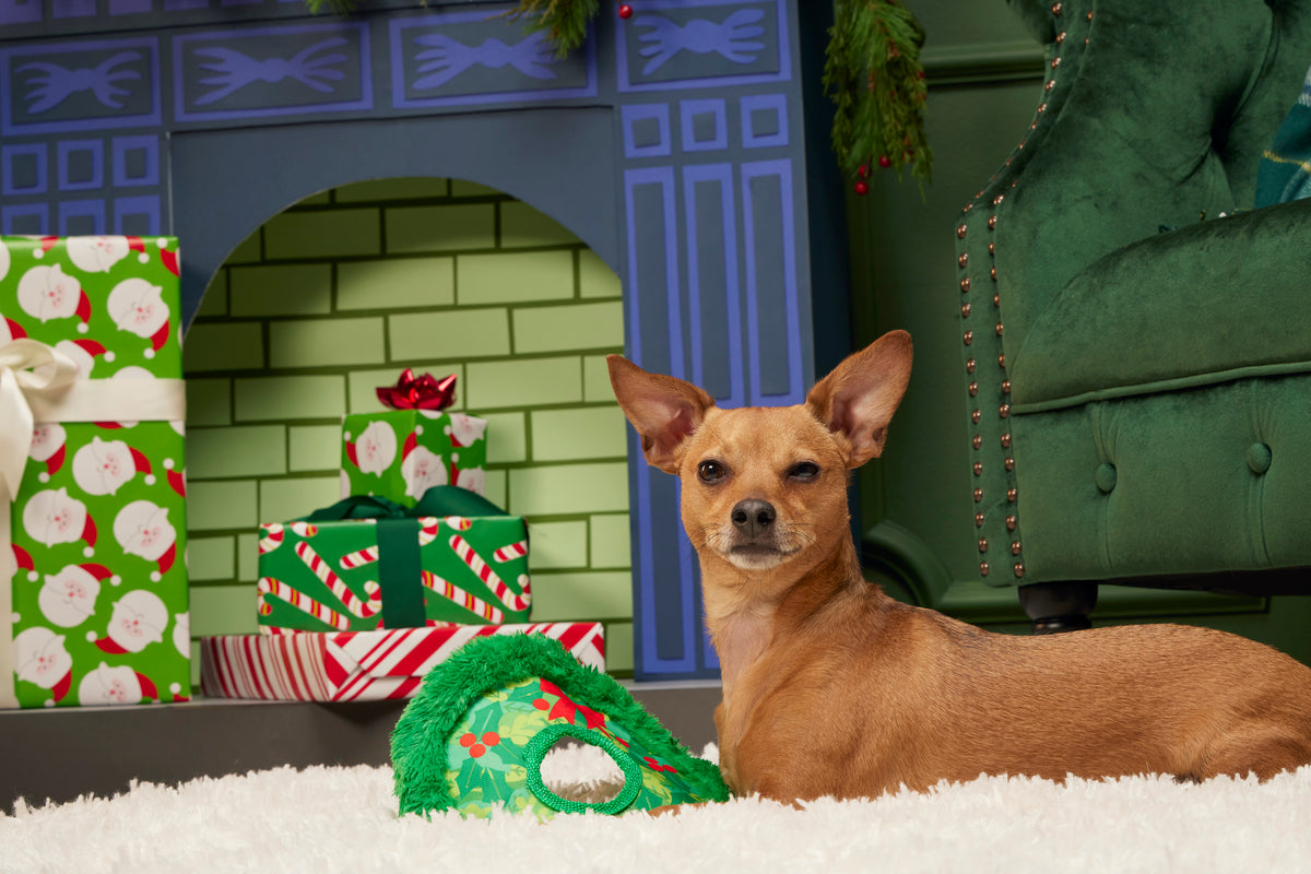 BARK Wreath Toss Fetch Dog Toy