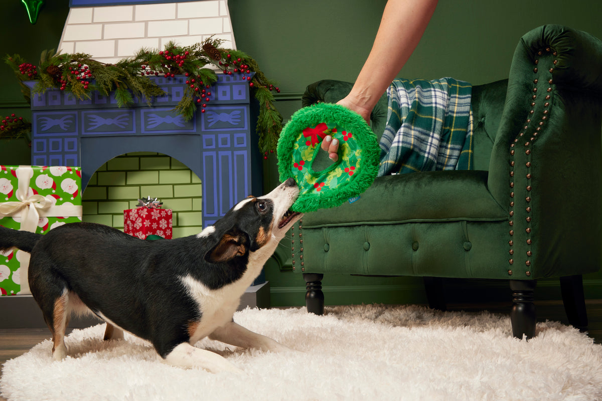 BARK Wreath Toss Fetch Dog Toy