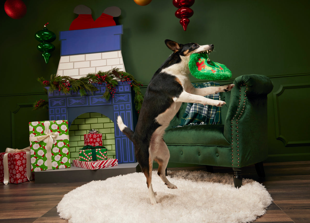 BARK Wreath Toss Fetch Dog Toy