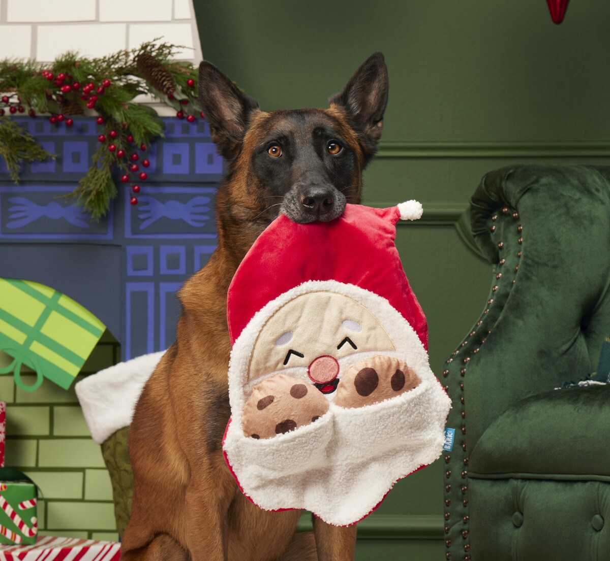 BARK Kris Krumble Plush Dog Toy Medium / Large