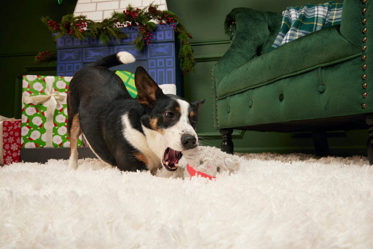 BARK Merry Chris-Mouse Rip & Reveal Super Chewer Dog Toy Medium / Large