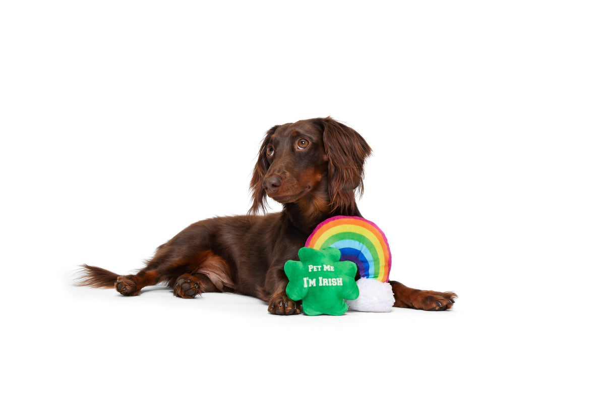 BARK Puppy Charms St. Patrick's Day Plush Dog Toy