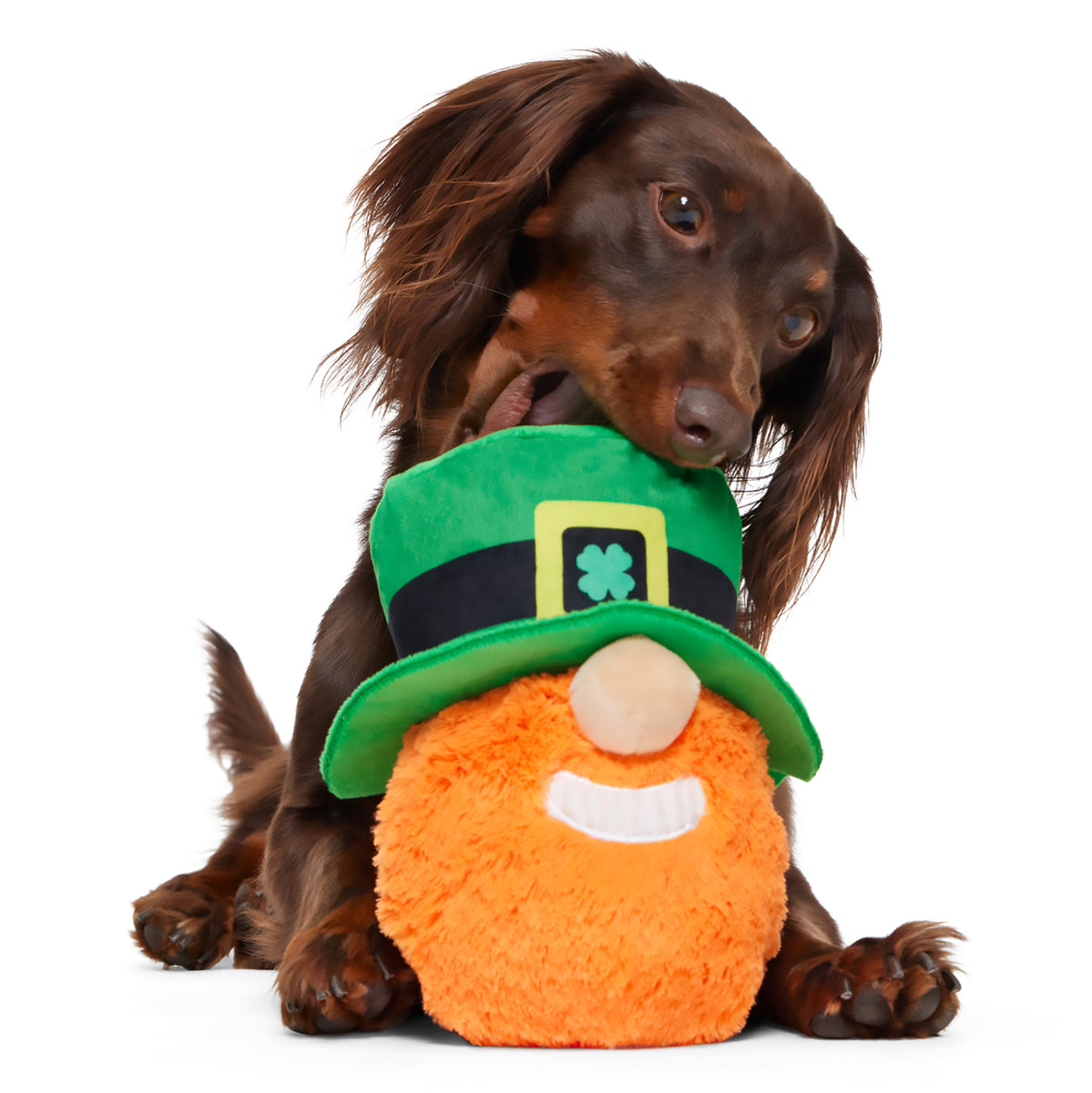 BARK Paddy O'Belly St. Patrick's Day Dog Toy XS-M