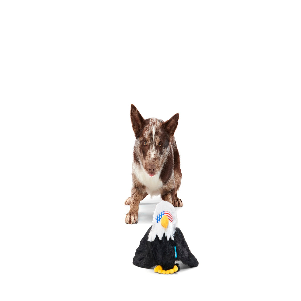 BARK Bold Eagle Plush Dog Toy XS/S/M