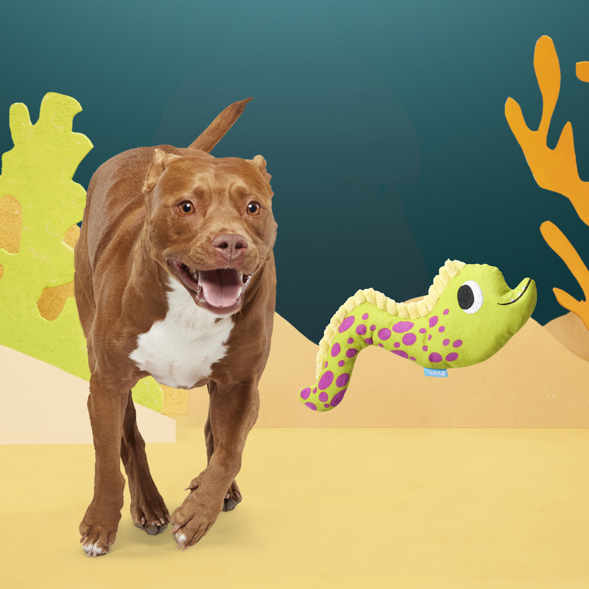 BARK Maury Eel Plush Dog Toy