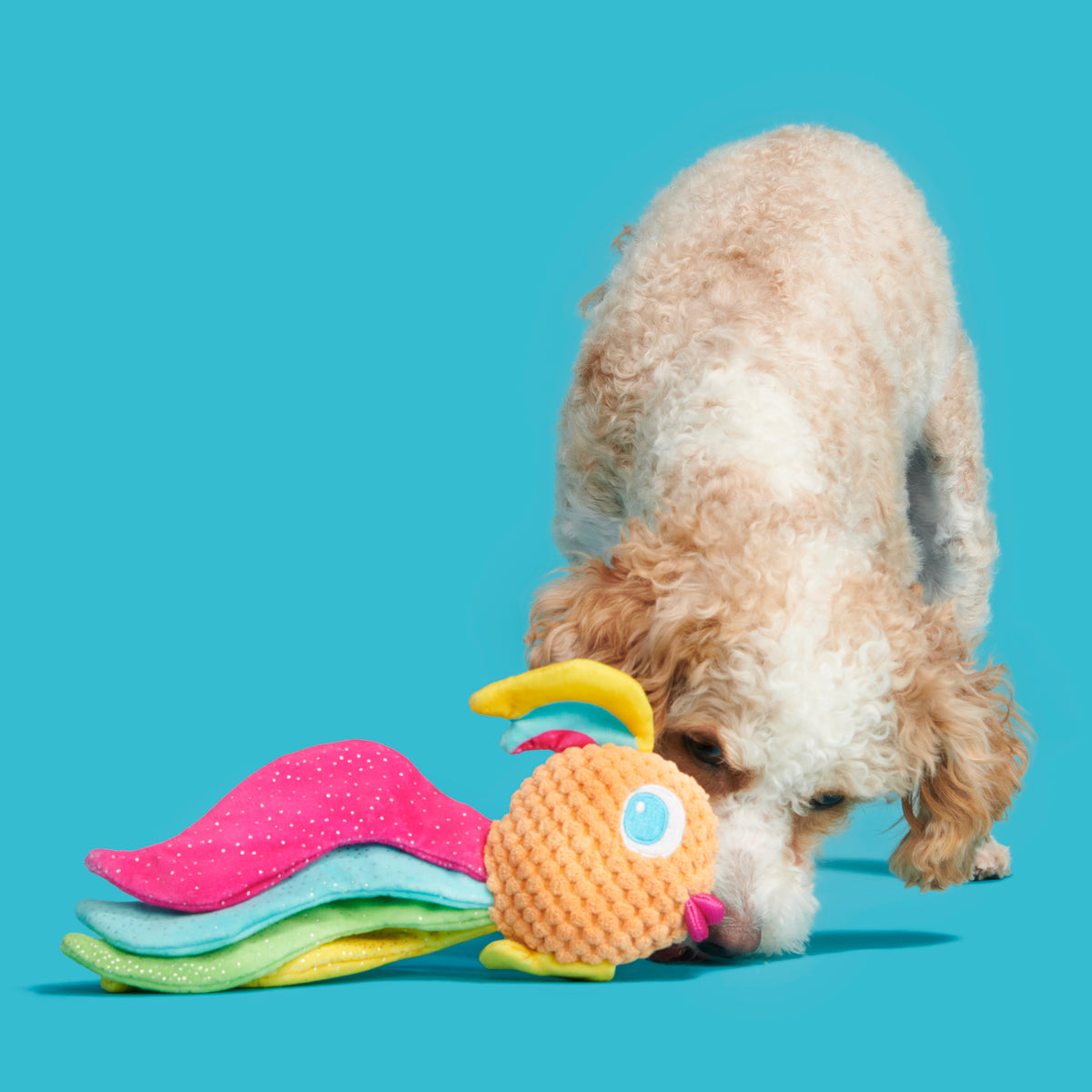 BARK Ahi Tina Plush Dog Toy XS/S