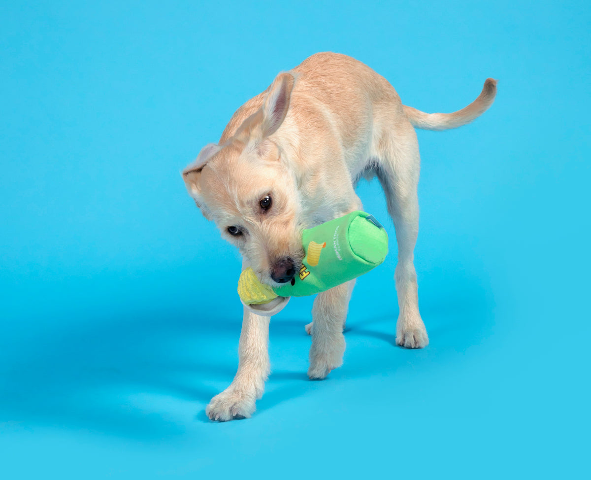 BARK Flingles Can Plush Dog Toy XS-Medium