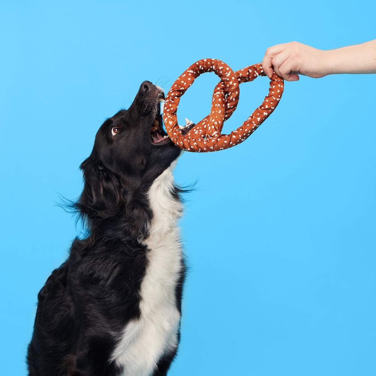 BARK Paula's Park Slope Pretzel Plush Dog Toy M